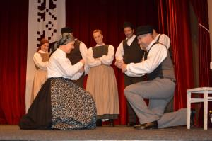 Območno srečanje odraslih folklornih skupin 16